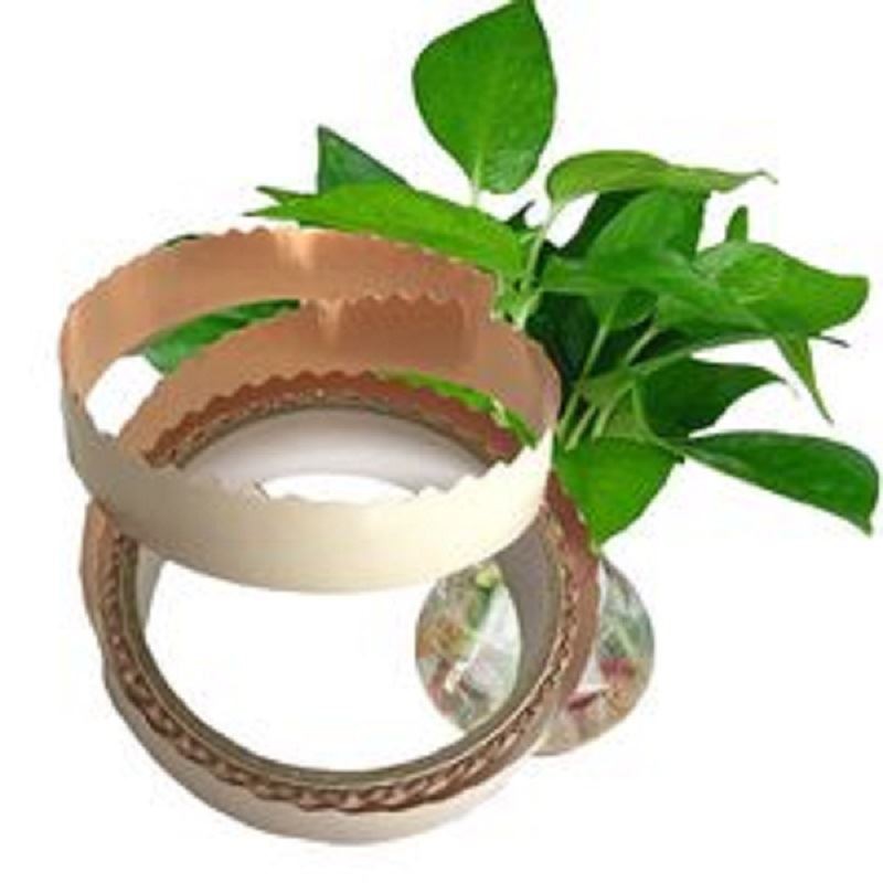 snail tape.jpg